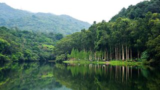 [A02] 流水嚮家樂徑、流浮山海鮮宴、元朗百鳥塔公園 、元朗南生圍一天團