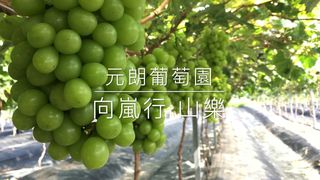 [D07] 蝶豆花園、元朗粵菜宴、中華麵食壽桃牌、生態南生圍一天團